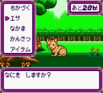 Screenshots Kawaii Pet Shop Monogatari II 