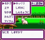 Screenshots Kawaii Pet Shop Monogatari II 