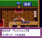 Screenshots Kawaii Pet Shop Monogatari II 