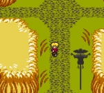 Screenshots Magi Nation 