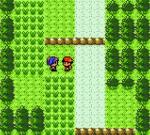 Screenshots Pokémon Or 