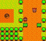 Screenshots Robopon: Sun Version 