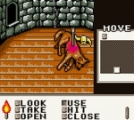 Screenshots Shadowgate Classic ... Ou pas...