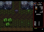 Screenshots Dungeon Explorer Mega CD Ver. 