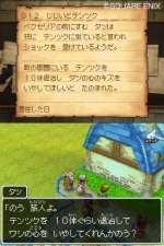 Screenshots Dragon Quest IX: Sentinel of the Starry Skies 