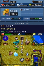 Screenshots Final Fantasy Fables: Chocobo Dungeon DS 