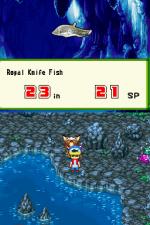 Screenshots Harvest Fishing DS 
