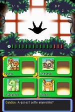 Screenshots Pokémon Donjon Mystère: Explorateurs de l'Ombre 