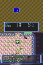 Screenshots Pokémon Donjon Mystère: Explorateurs du Temps 