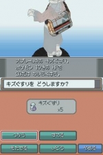 Screenshots Pokemon SoulSilver 