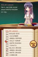 Screenshots Rune Factory 2: A Fantasy Harvest Moon 