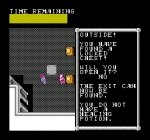 Screenshots Advanced Dungeons & Dragons: Hillsfar 