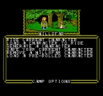 Screenshots Advanced Dungeons & Dragons: Hillsfar 