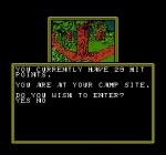 Screenshots Advanced Dungeons & Dragons: Hillsfar 