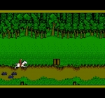 Screenshots Advanced Dungeons & Dragons: Hillsfar 