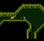 Screenshots Dragon Buster II 