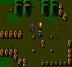 Screenshots Dragon Scroll: Yomigaerishi Maryuu 