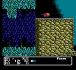 Screenshots Fuzzical Fighter 