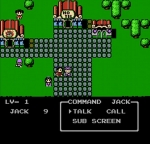 Screenshots Little Ninja Brothers 