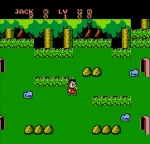 Screenshots Little Ninja Brothers 