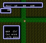 Screenshots Ninja Ra Hoi! 