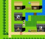 Screenshots Satomi Hakkenden 