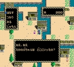 Screenshots Shin Satomi Hakkenden 