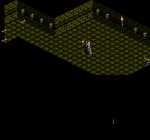 Screenshots The Immortal 