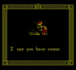 Screenshots The Immortal 