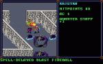 Screenshots Advanced Dungeons & Dragons: Pools of Darkness 