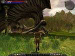 Screenshots Asheron's Call 2: Fallen Kings 