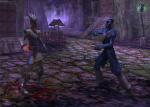 Screenshots Asheron's Call 2: Fallen Kings 
