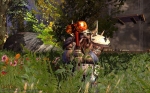 Screenshots Darkfall 