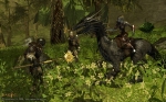 Screenshots Darkfall 