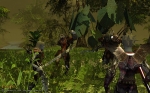 Screenshots Darkfall 