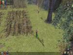 Screenshots Dungeon Siege 