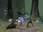 Screenshots Dungeon Siege II Aïe, ça pique