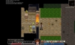 Screenshots Dungeons of Dredmor 