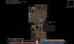 Screenshots Dungeons of Dredmor 