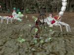 Screenshots EverQuest 