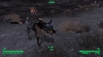 Screenshots Fallout: New Vegas 