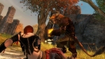 Guild Wars 2