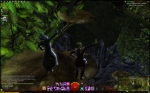 Screenshots Guild Wars 2 