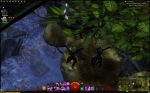 Screenshots Guild Wars 2 