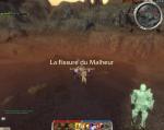 Screenshots Guild Wars: Factions La fissure est aussi accessible depuis Faction