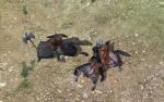Screenshots Mount & Blade 