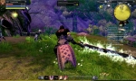 Screenshots RaiderZ 