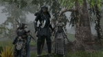 Screenshots The Elder Scrolls Online: Tamriel Unlimited 