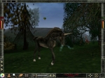 Screenshots Wizardry 8 