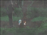 Screenshots Blue Forest Story: Kaze no Fuuin 